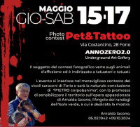 Arte, Memoria e Impegno civico. Continua il P’ink Memorial 2025 tra sensibilità e bellezza