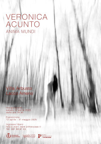 Mostra Veronica Acunto
