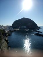 WhatsApp-Image-2025-01-09-at-201234