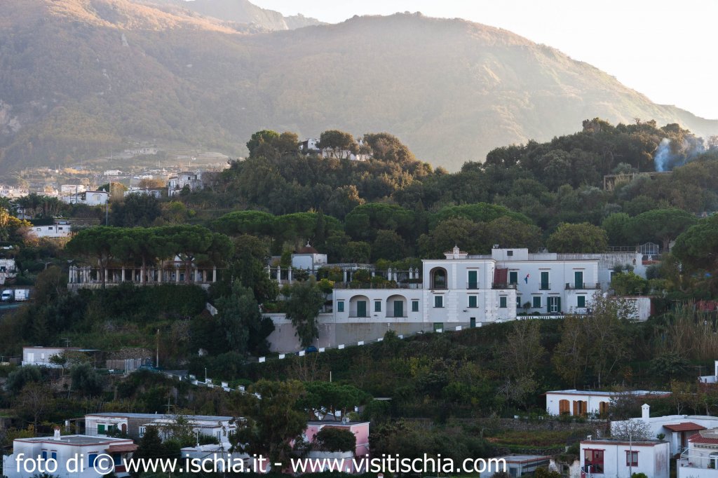 villa-arbusto