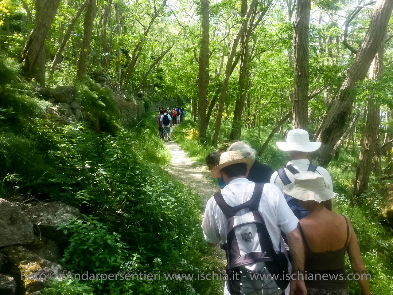 Andar per Sentieri, Bosco dei Frassitelli isola d'Ischia