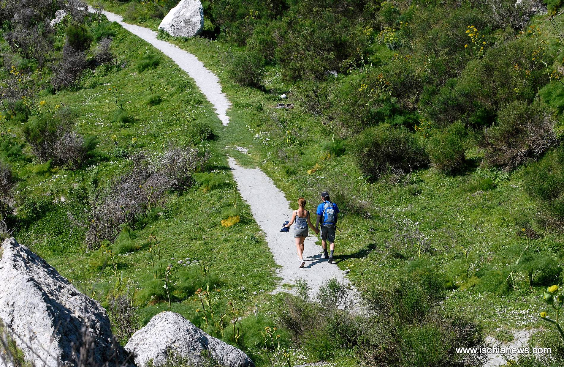 sentieri-monte-epomeo